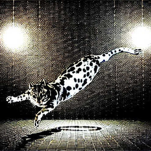 The Odds of Tehran: A Prediction Market's Data Anomaly The Odds of Tehran: A Prediction Market's Data Anomaly