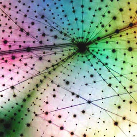 When Utility Clashes With Treasury: The Ripple-Strategy Debate and Crypto's Existential Divide
